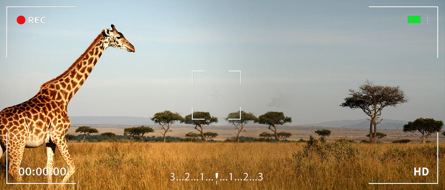 Analysis Report: The Future Market of 4G Trail Cameras