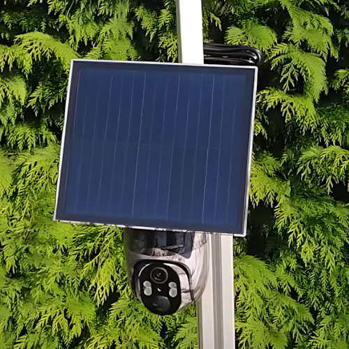 How hunting cameras change the way we observe nature