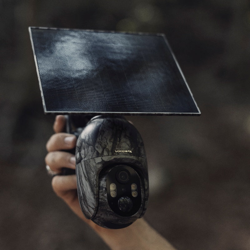 Master the shooting skills of hunting cameras to capture the wonderful moments of nature