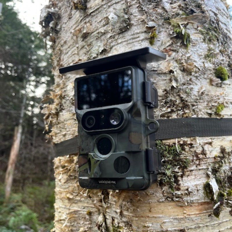 Best Hunting Cameras of 2025: How to Choose the Right Hunting Camera for You?