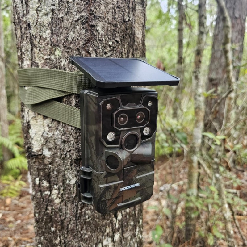How Do Wi-Fi Trail Cameras Work?
