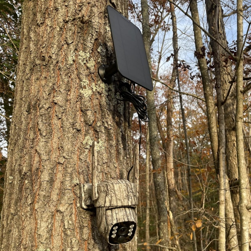 Best Cellular Trail Camera for 2026 Spring Hunting