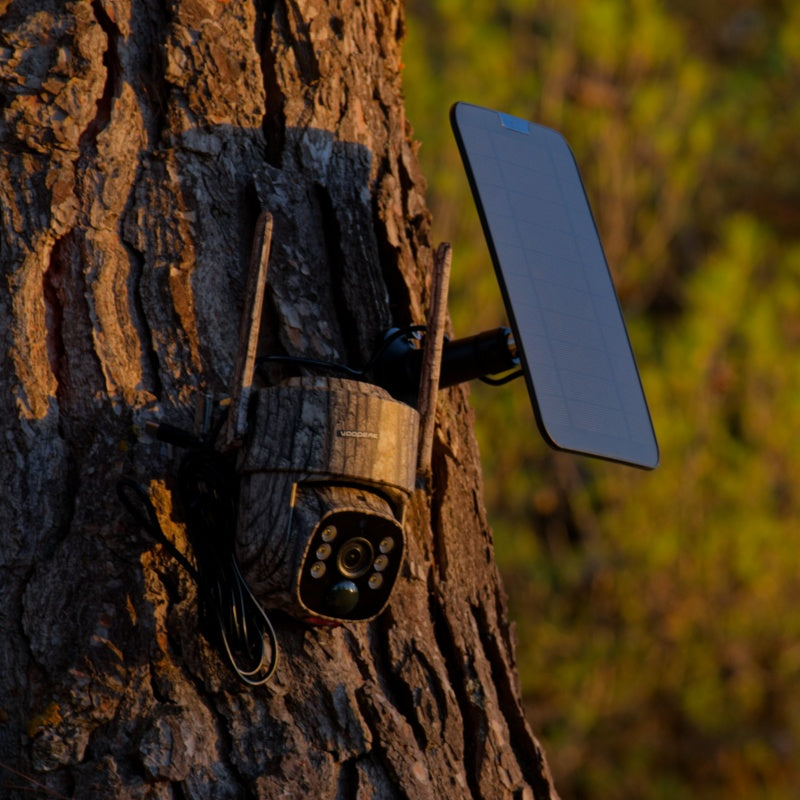 How Do Cellular Trail Cameras Work?
