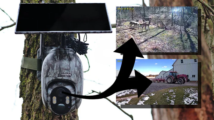 How much are trail cameras?