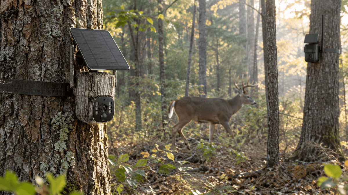 Voopeak TC32 vs Tactacam REVEAL cellular trail cameras in a wildlife setting