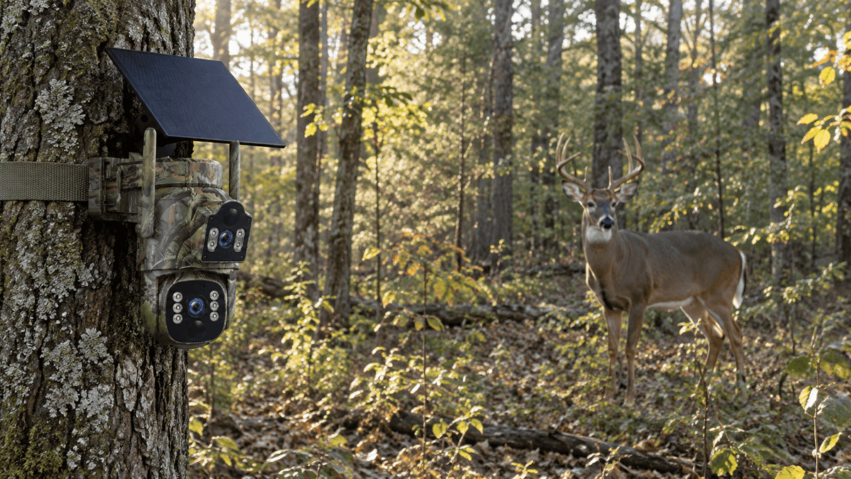 Voopeak trail camera detecting deer motion from about 10 meters away