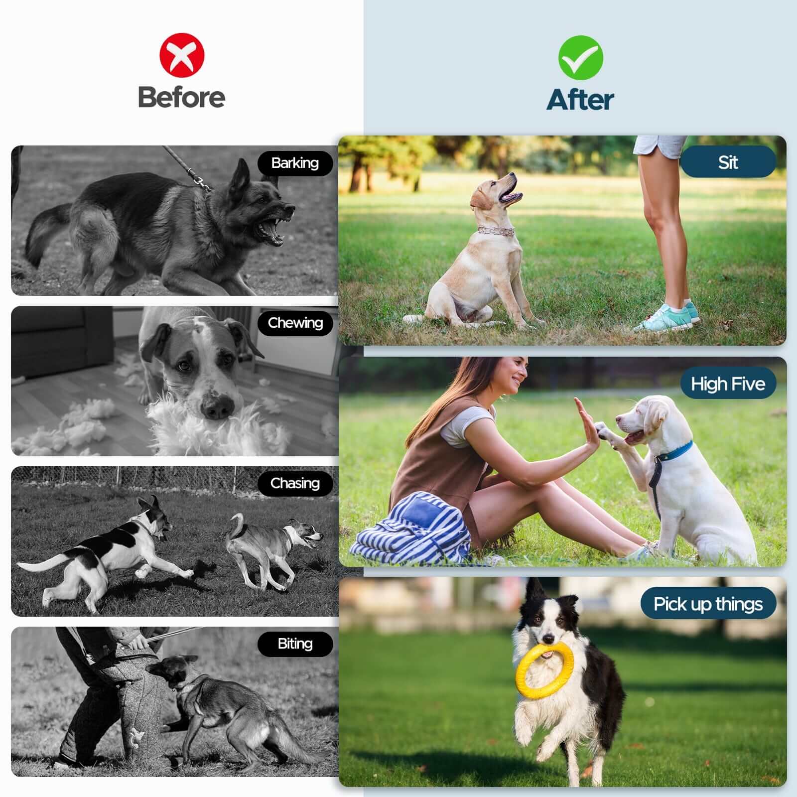 Voopeak 2-in-1 Wireless Dog Fence & Training Collar