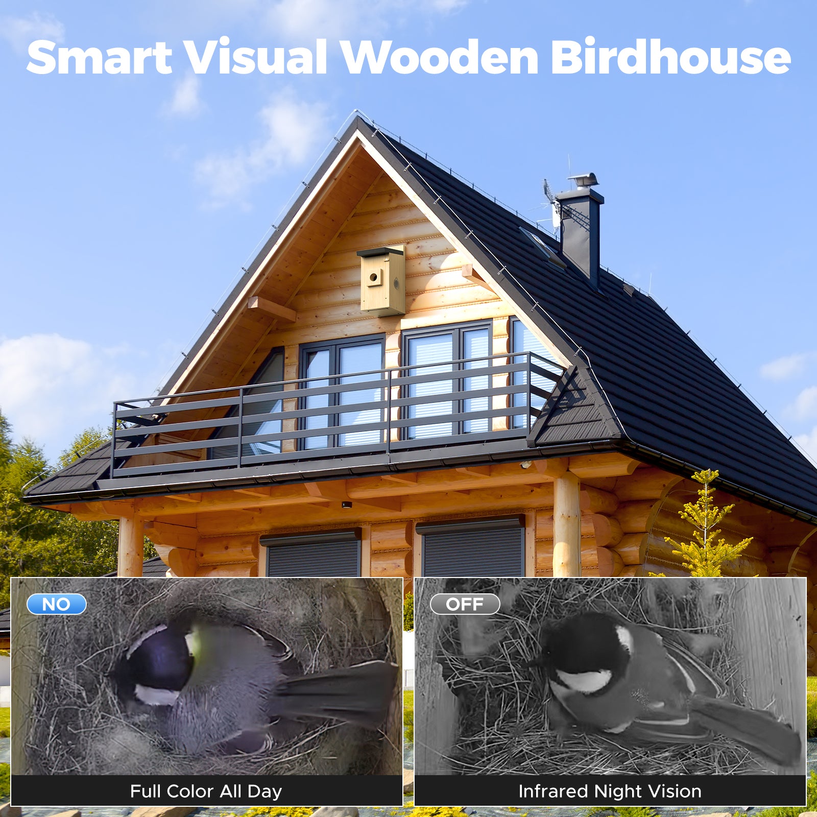 Dual Camera Smart Bird House