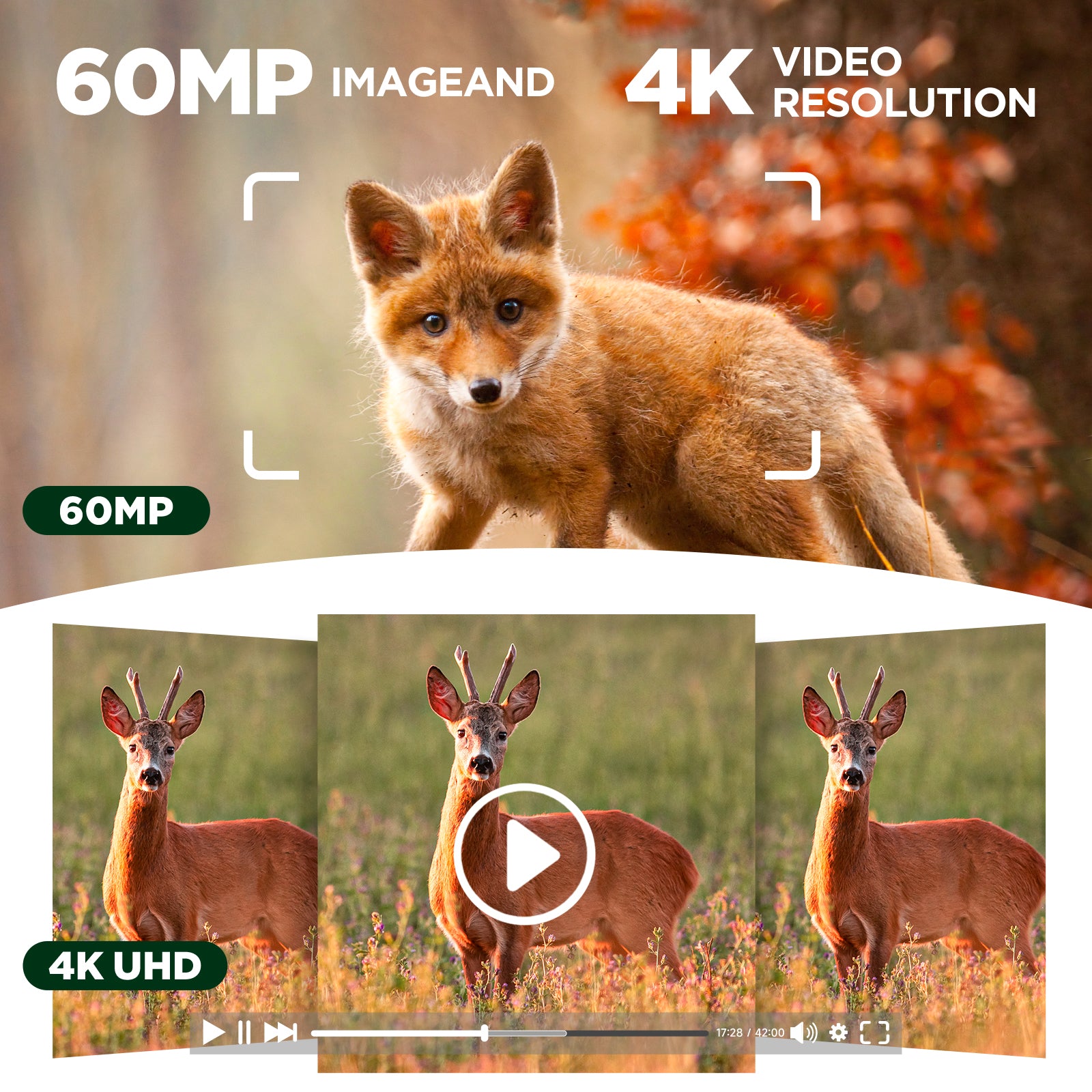 4k wifi trail camera