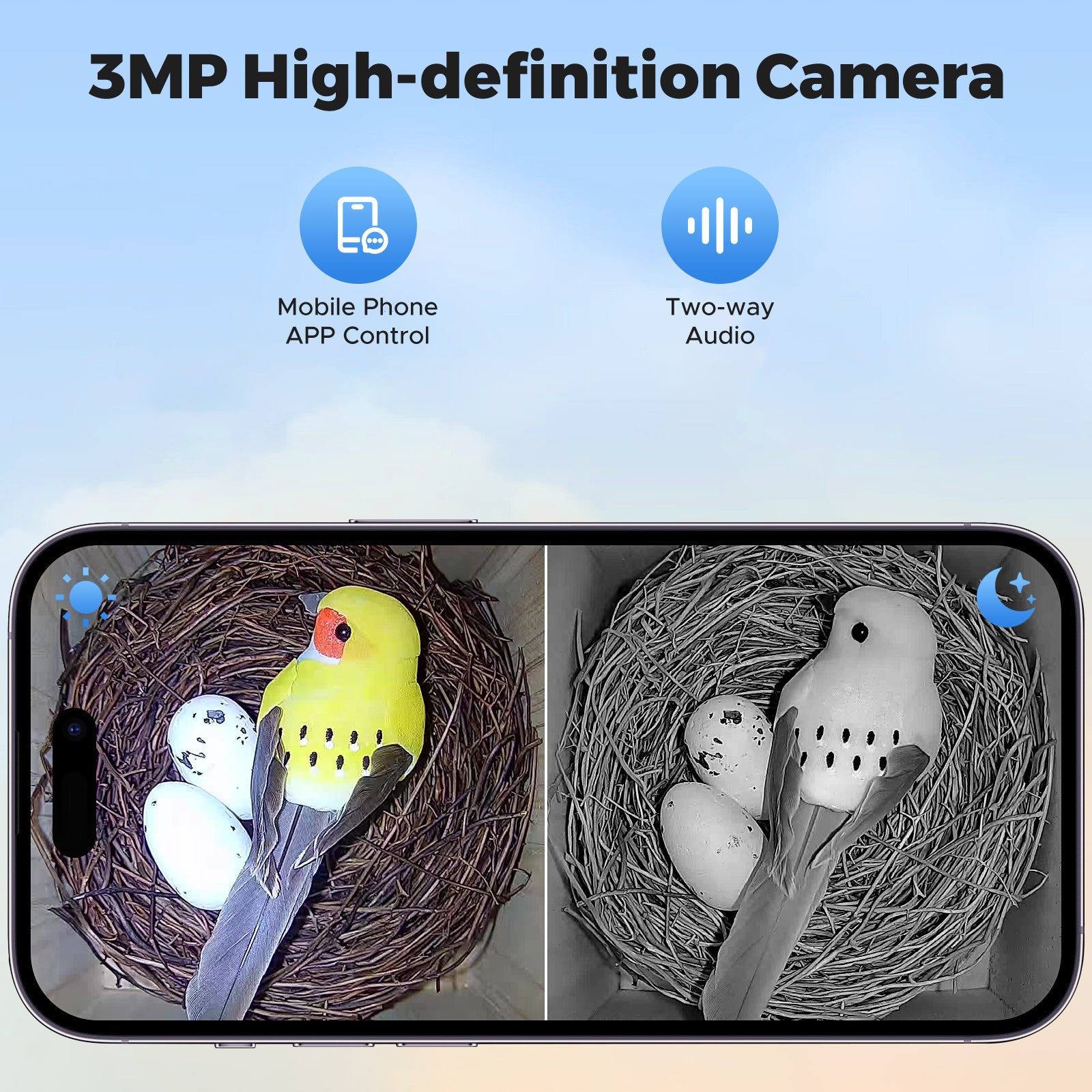 Dual Camera Smart Bird House