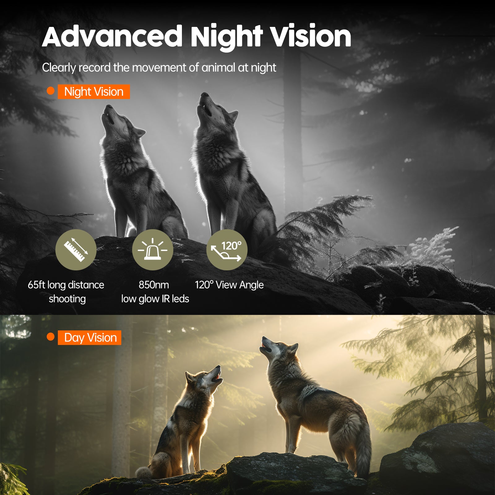 24MP 1080P Solar Powered Trail Game Camera with No Glow Night Vision & 32GB Micro SD Card