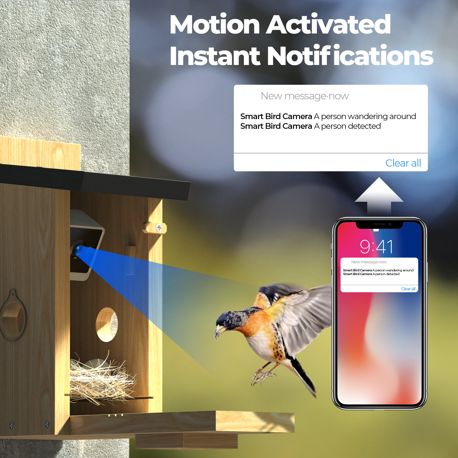 Dual Camera Smart Bird House