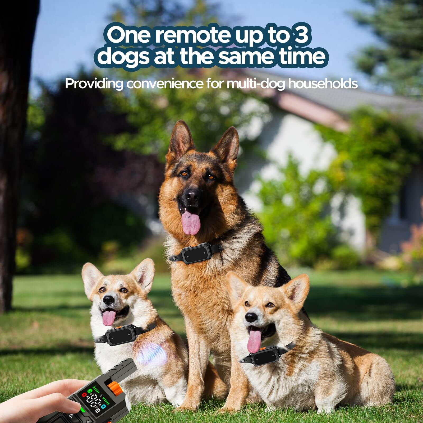 Voopeak 2-in-1 Wireless Dog Fence & Training Collar