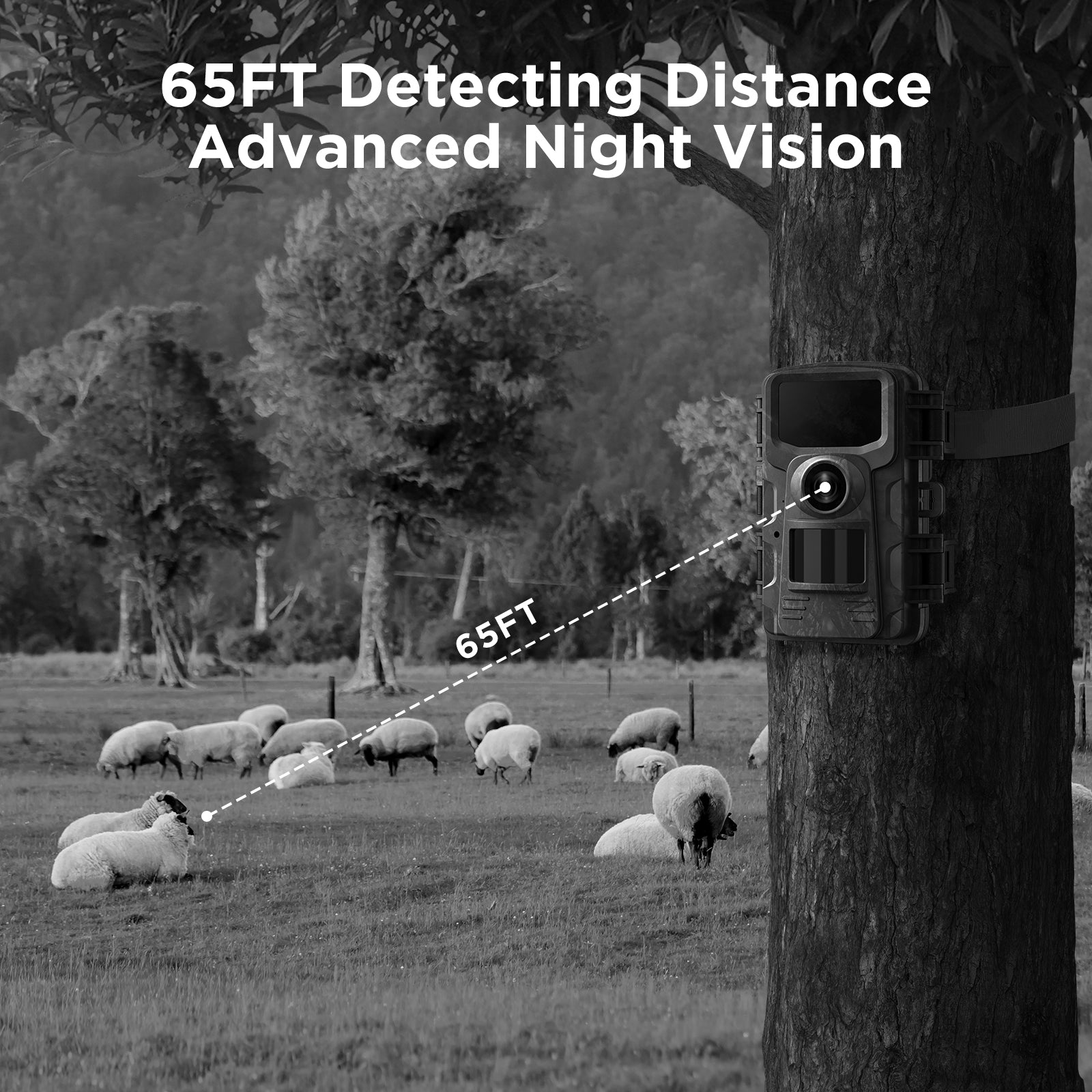 Trail Camera with 2.0''LCD Screen, Night Vision and 120° Wide Detect for Wildlife Monitor