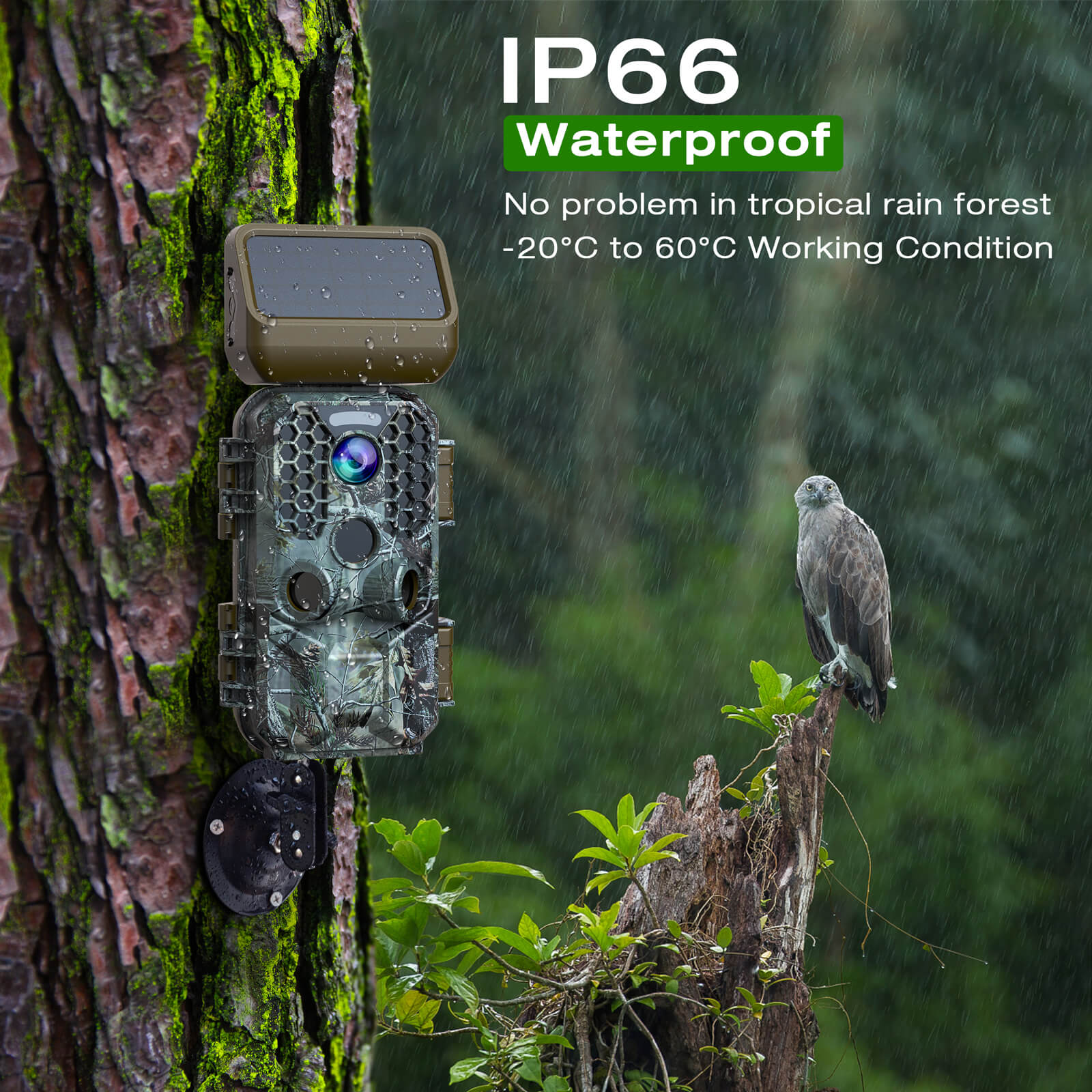 Voopeak T200 Solar Powered 4k Wifi Trail Camera for Wildlife
