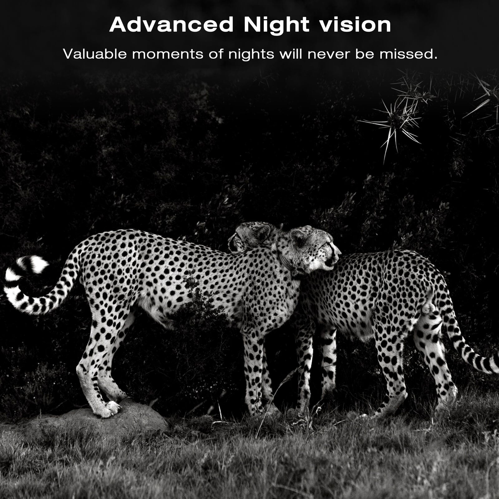 Voopeak T200 Solar Powered 4k Wifi Trail Camera for Wildlife