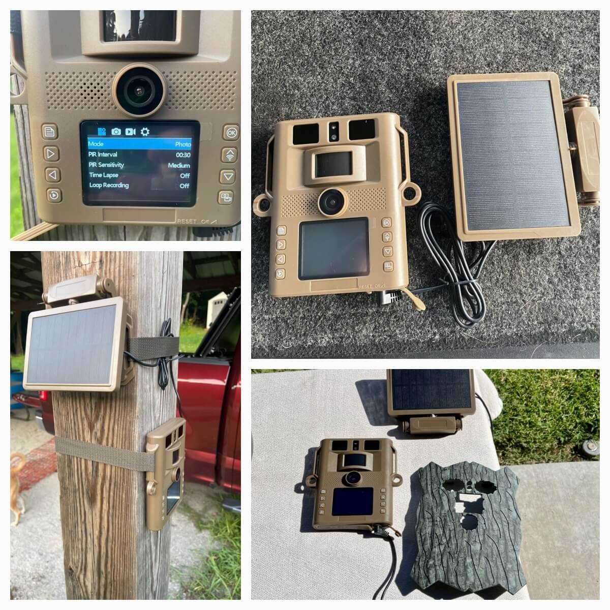 Hidden Tree Trail Camera