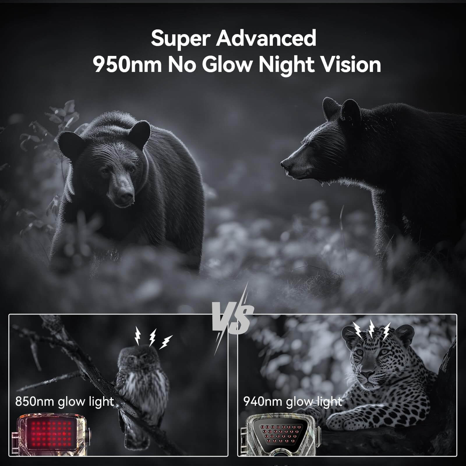 Hidden Tree Trail Camera