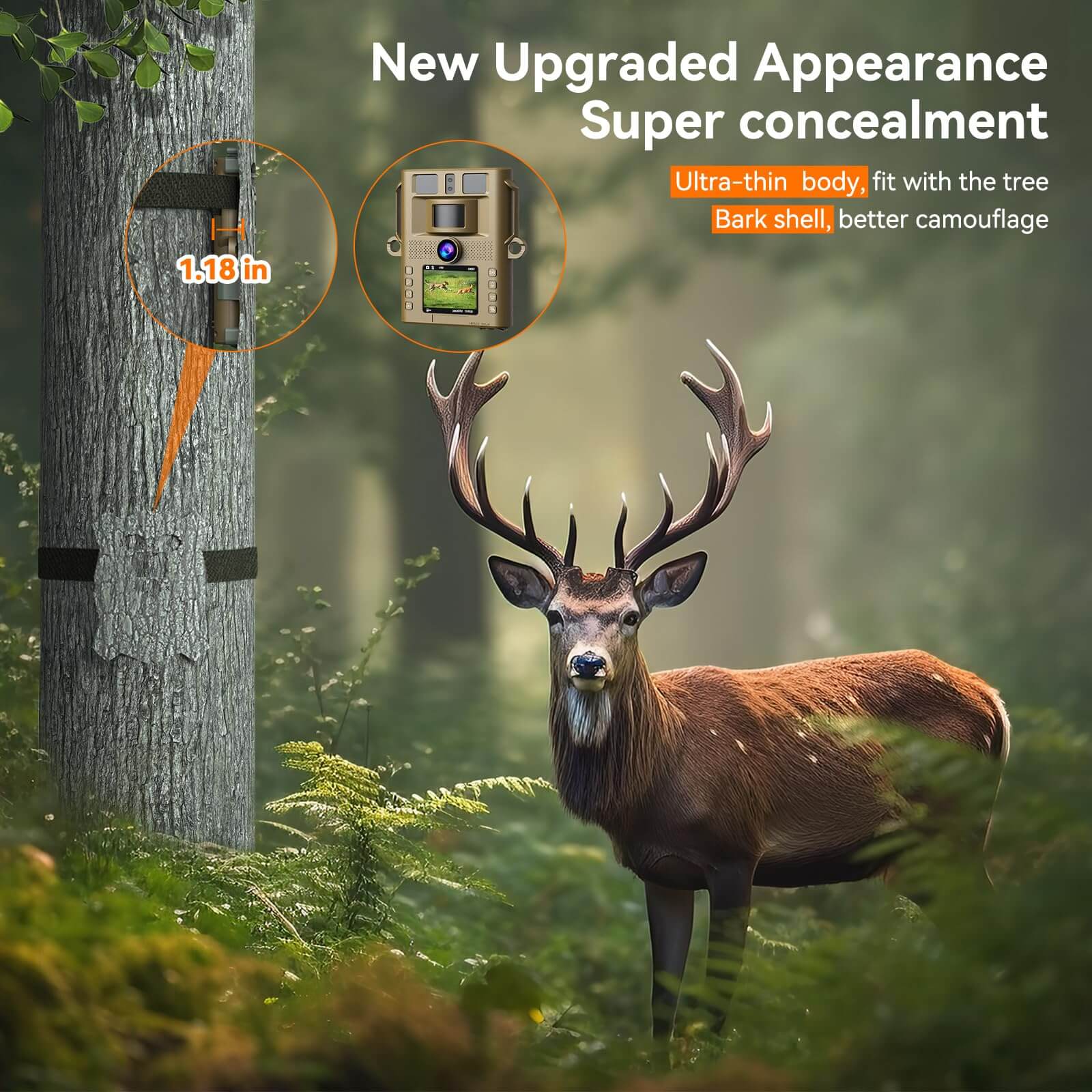 Hidden Tree Trail Camera