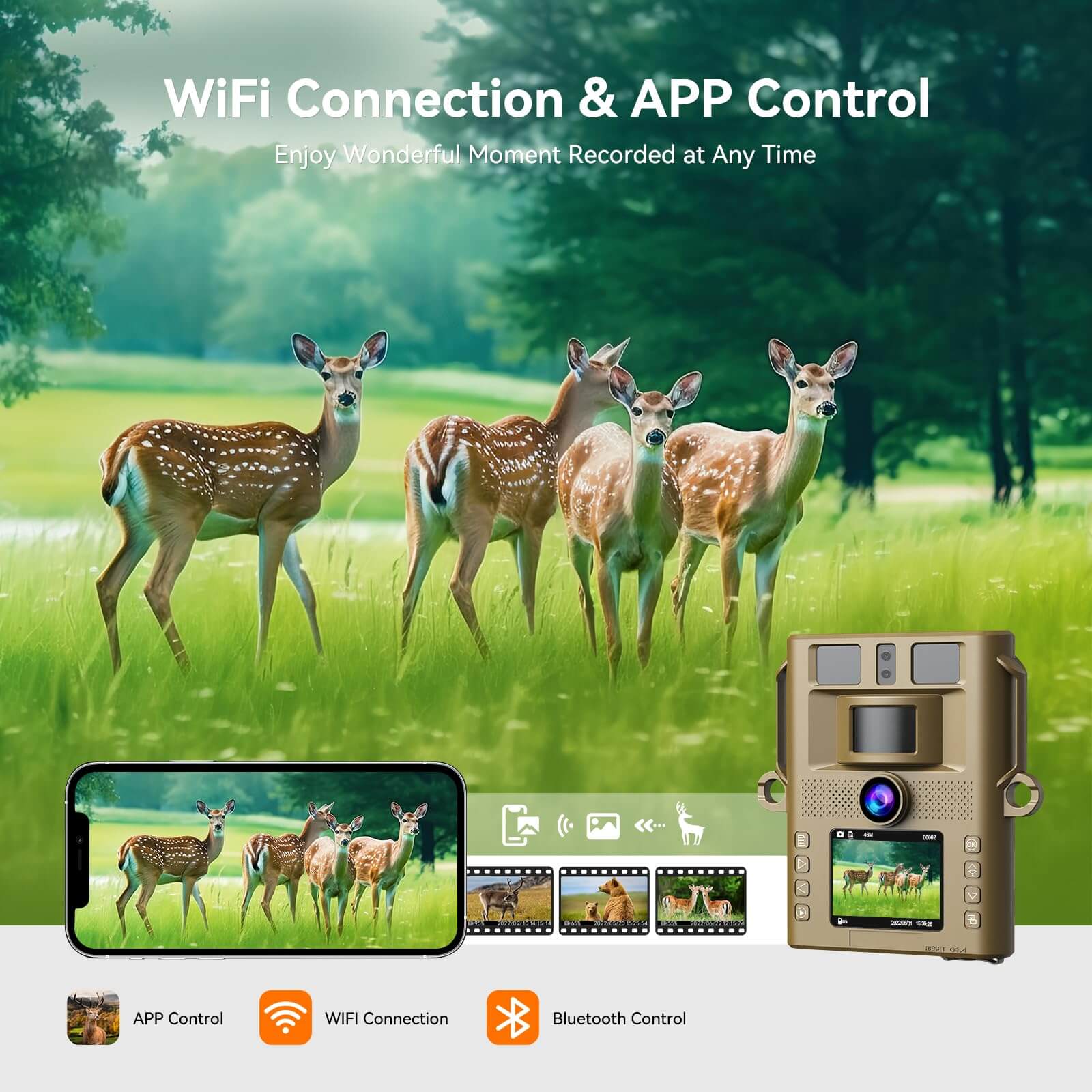 Hidden Tree Trail Camera