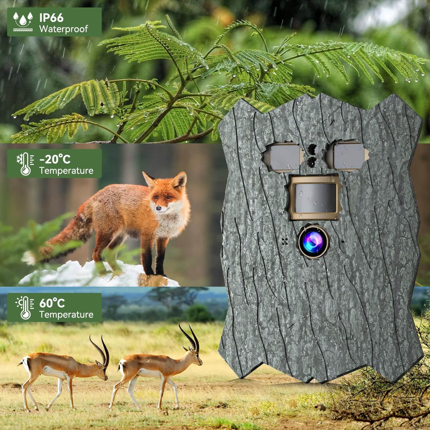 Hidden Tree Trail Camera