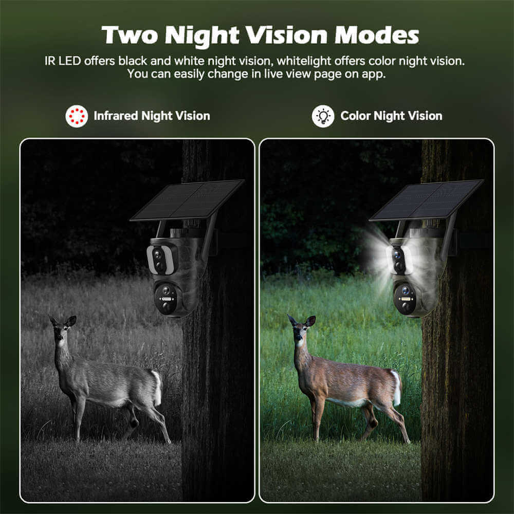 4G LTE Cellular Trail Camera