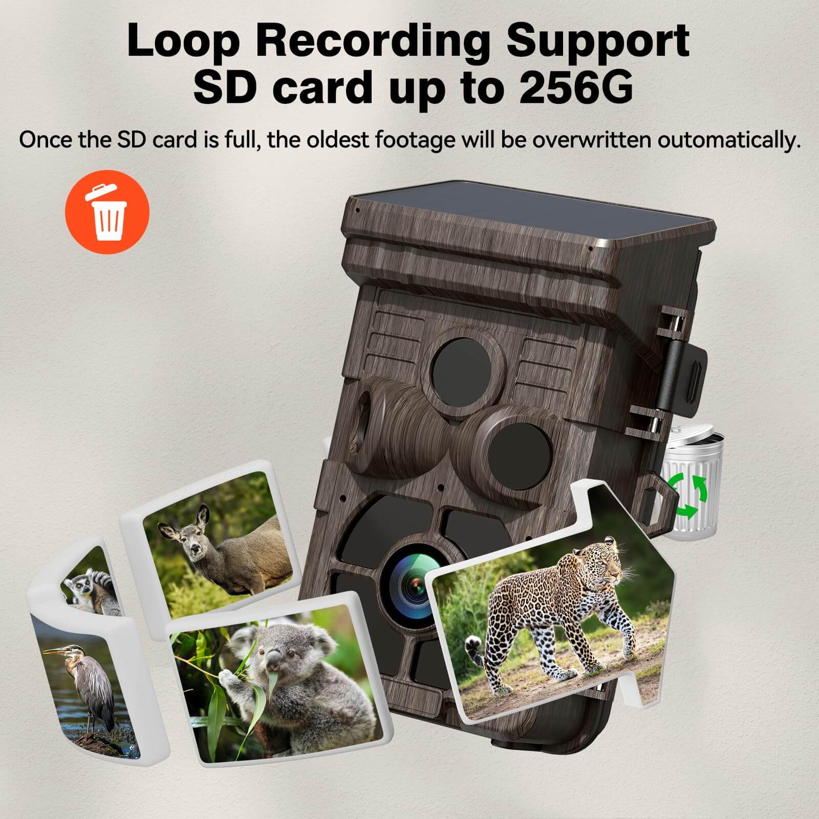 Solar Powered Trail Camera