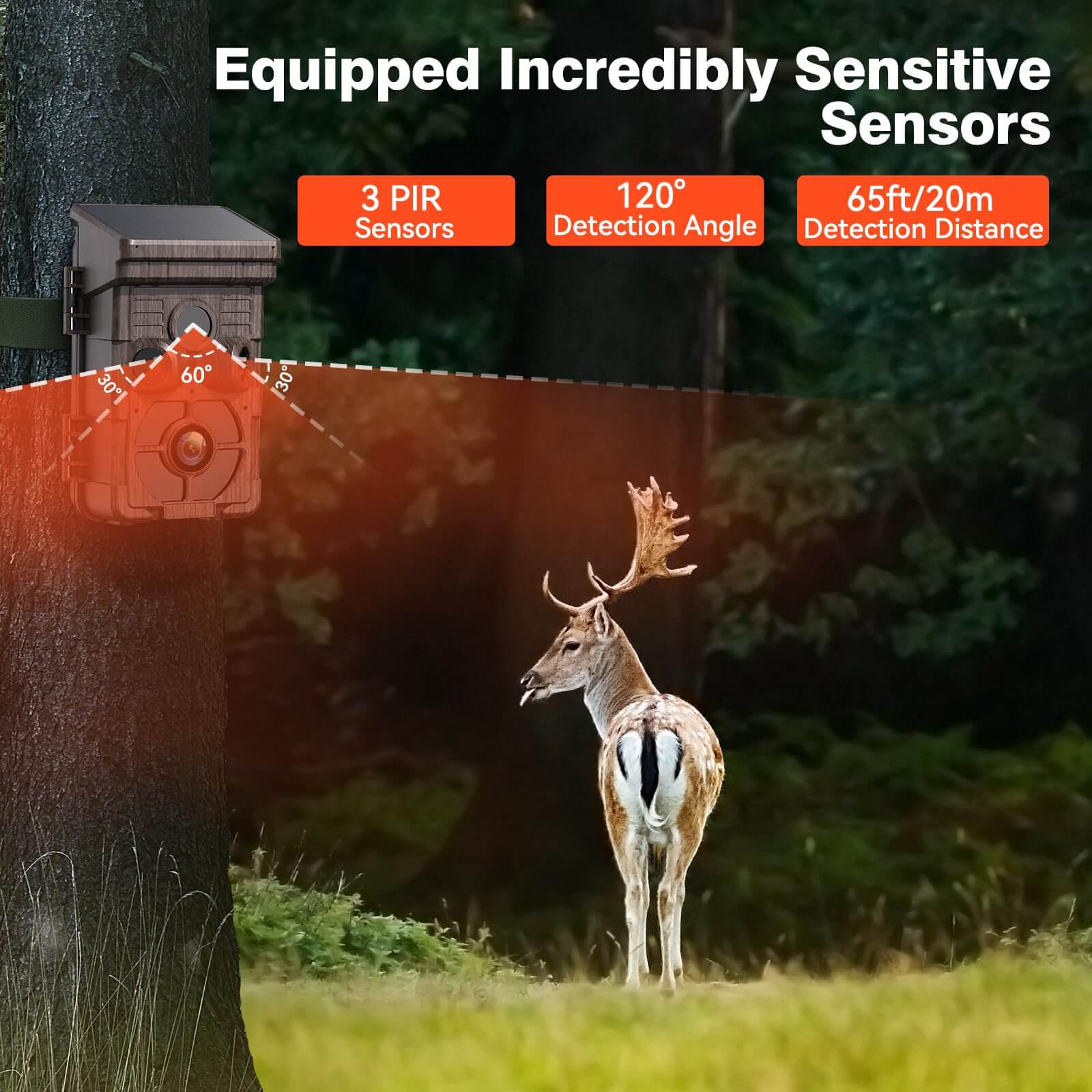 Solar Powered Trail Camera