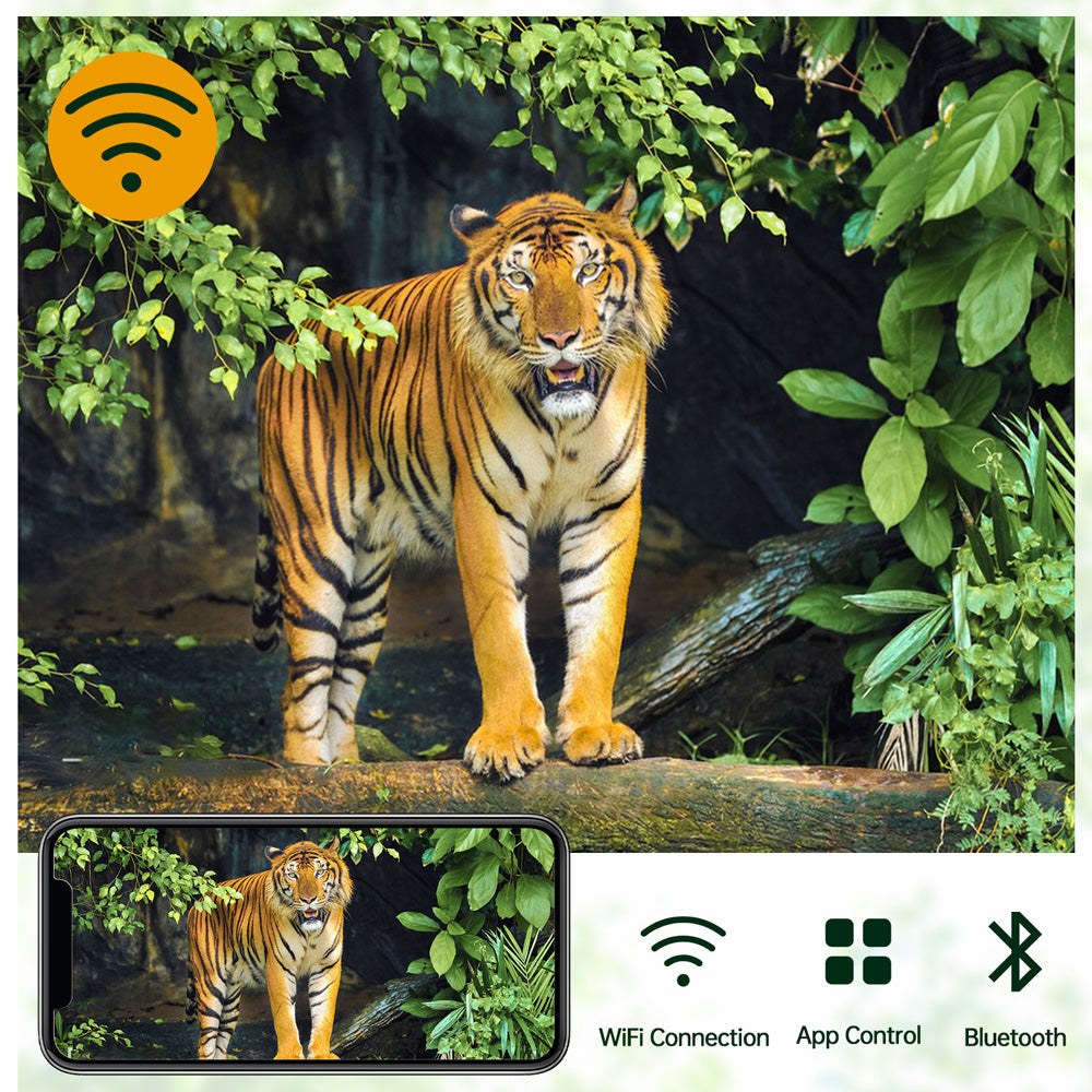 Game Camera For Outdoor