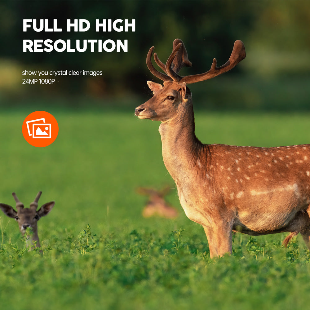 Mini Trail Camera For Beginners