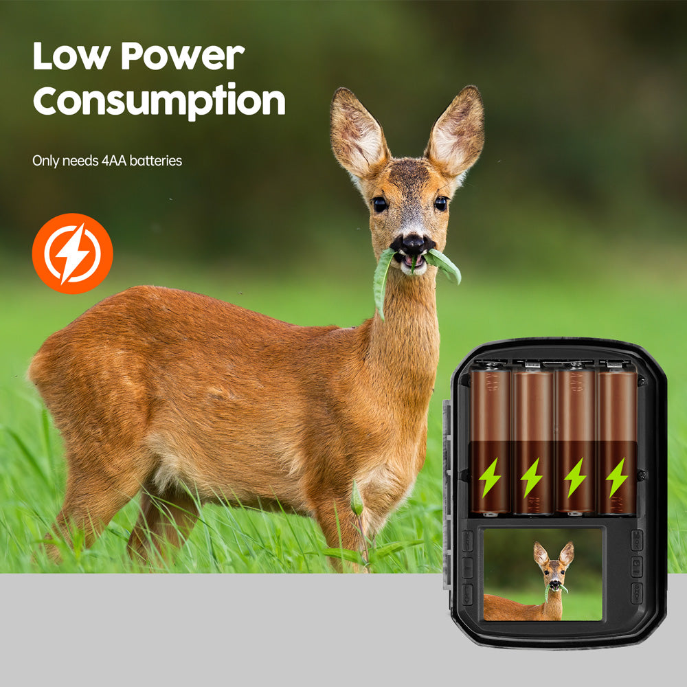Mini Trail Camera