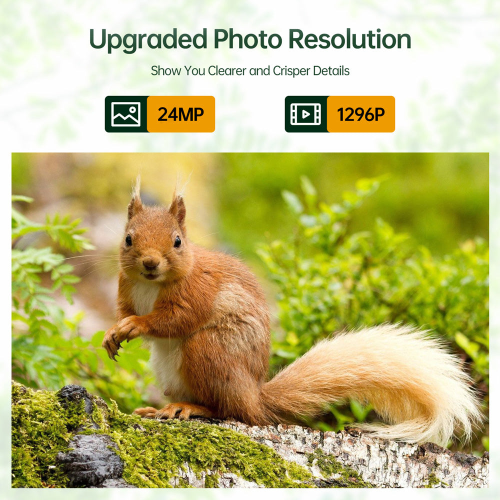 Game Camera For Outdoor