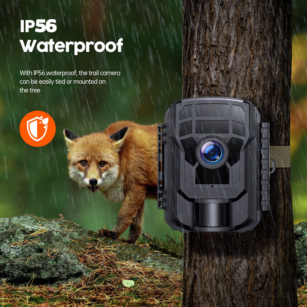 Mini Trail Camera
