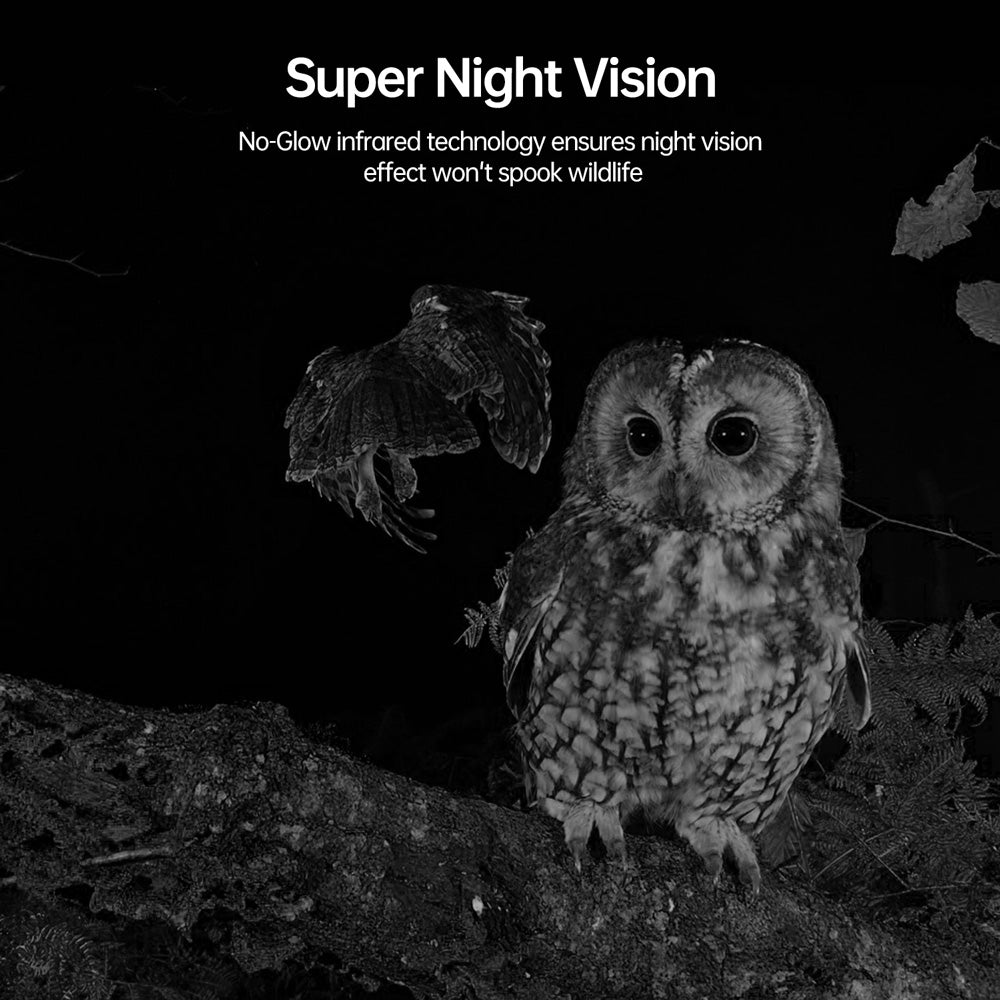 Game Camera For Outdoor