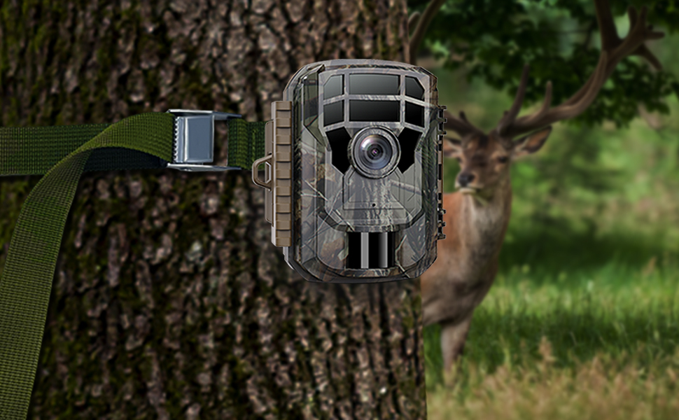 Four Recommendations on Picking a Suitable Trail Camera