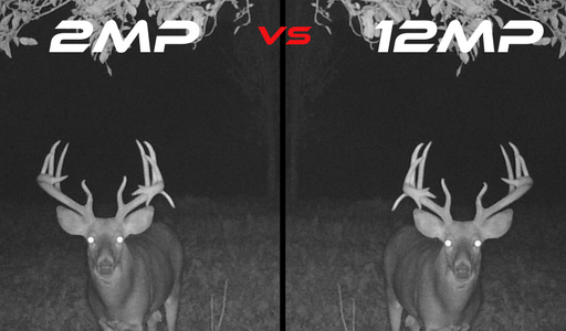 Navigating the Intricacies of trail camera Resolution