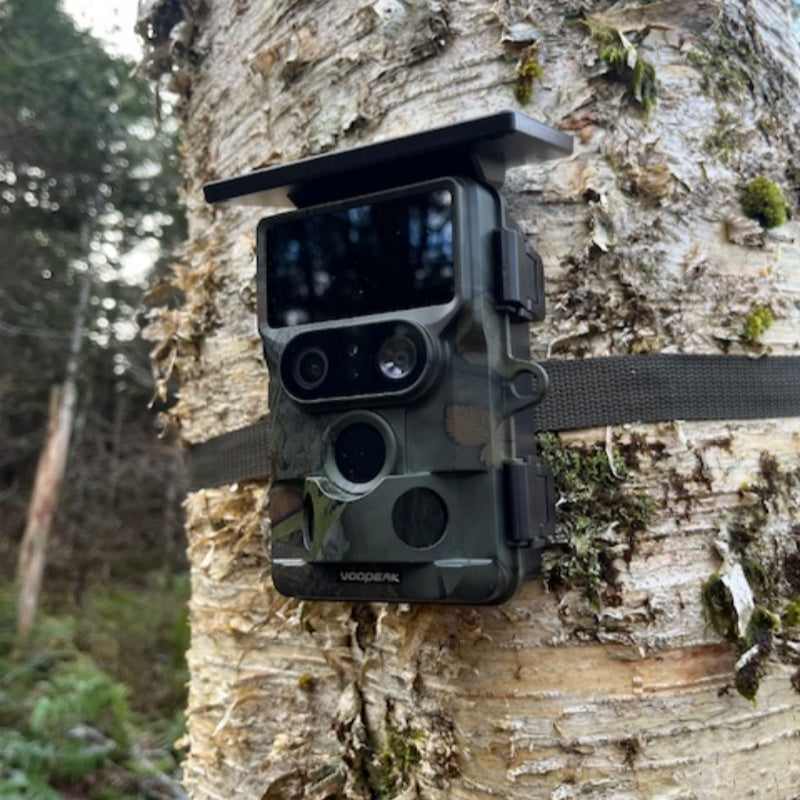 Voopeak TC22 Trail camera Real Review