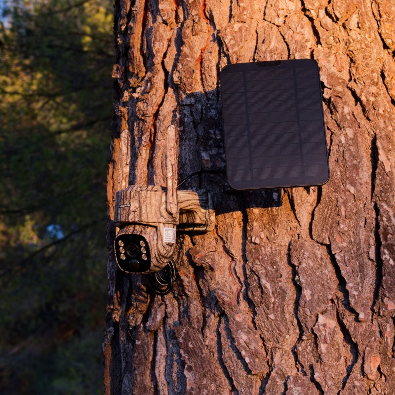 Do Cellular trail cameras Require a Subscription?