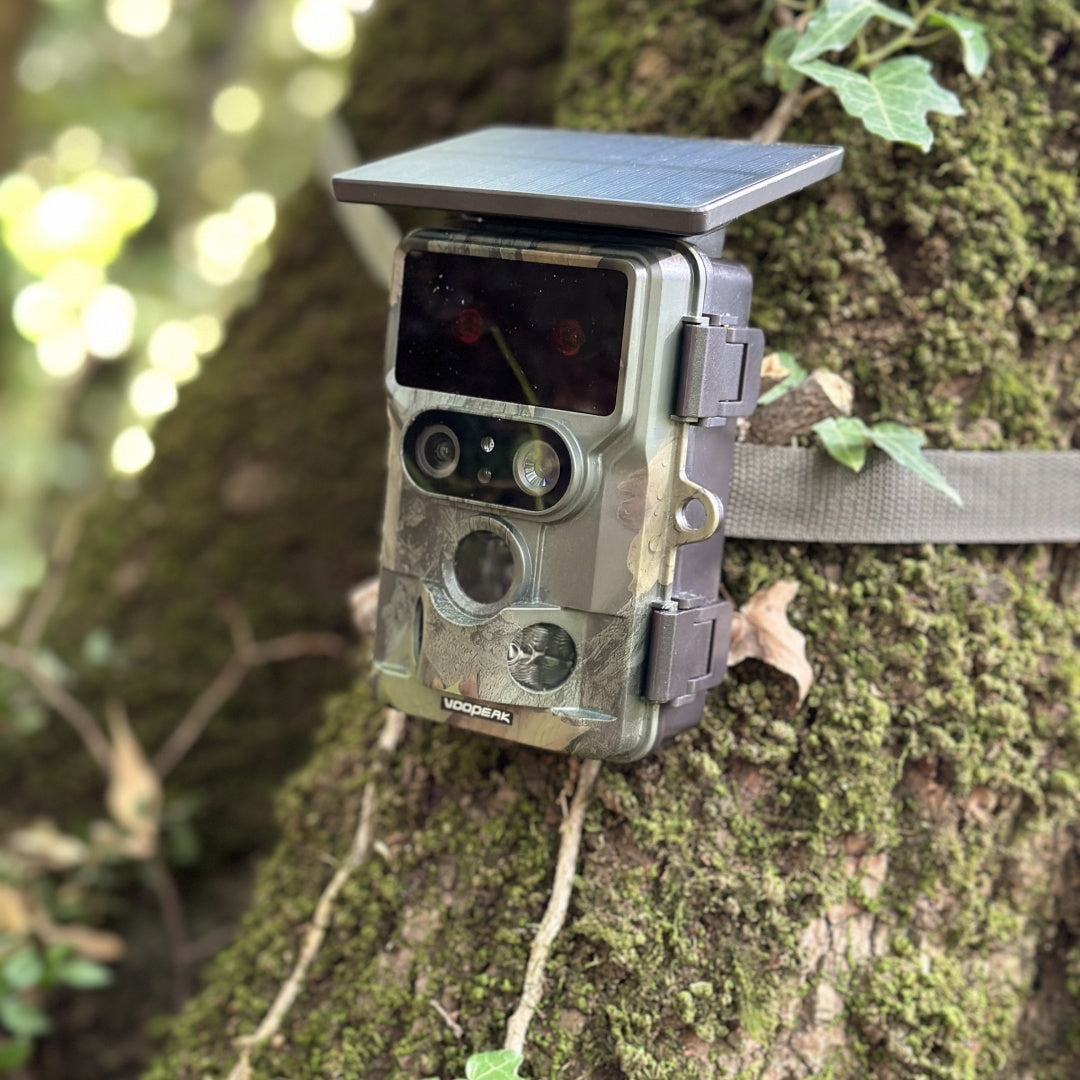 How to fix hunting camera battery life issues: 2024 tips and energy saving guide