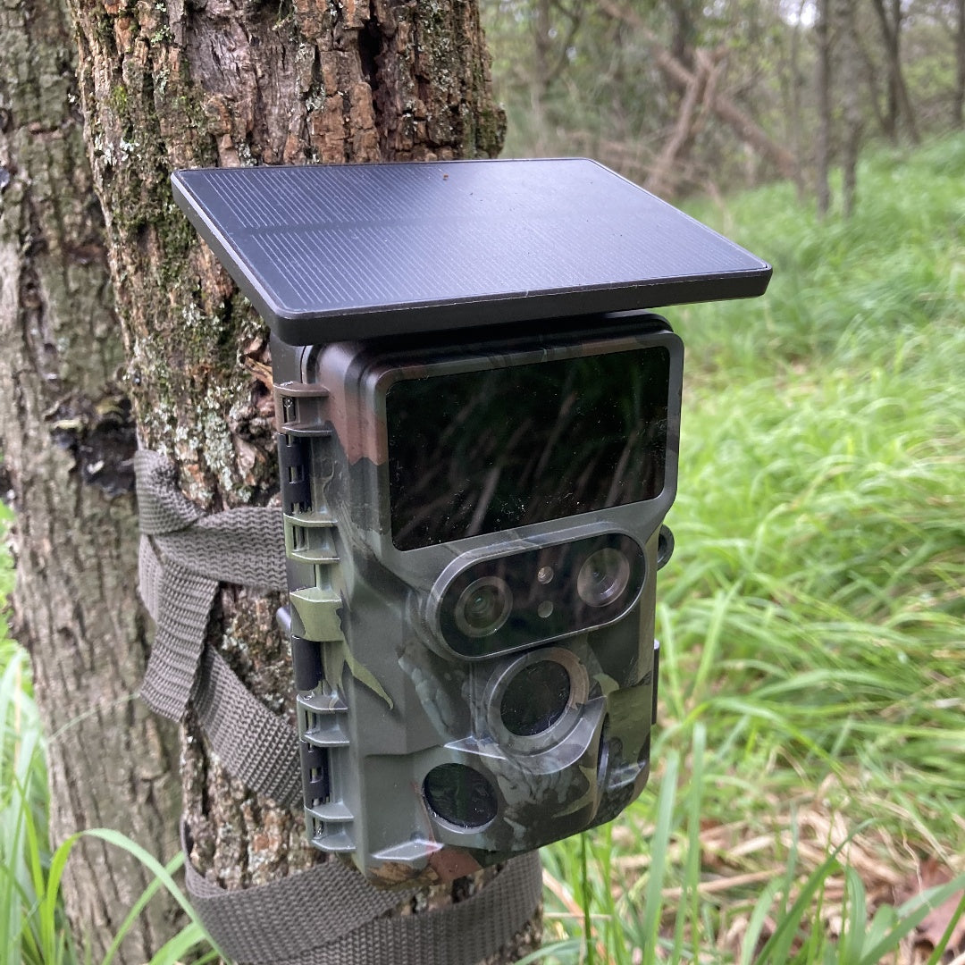 Common Faults and Solutions of Hunting Cameras