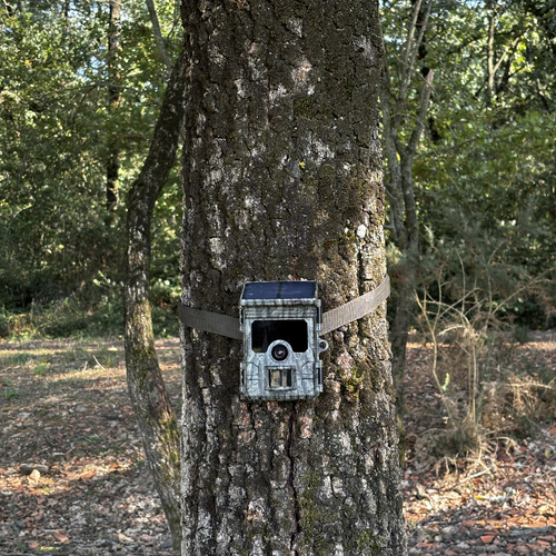 Voopeak TC02 Trail Camera Setup Guide