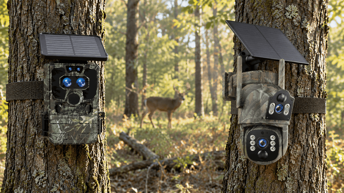 Voopeak TC39 cellular trail camera and TC37 WiFi trail camera in a woodland setting