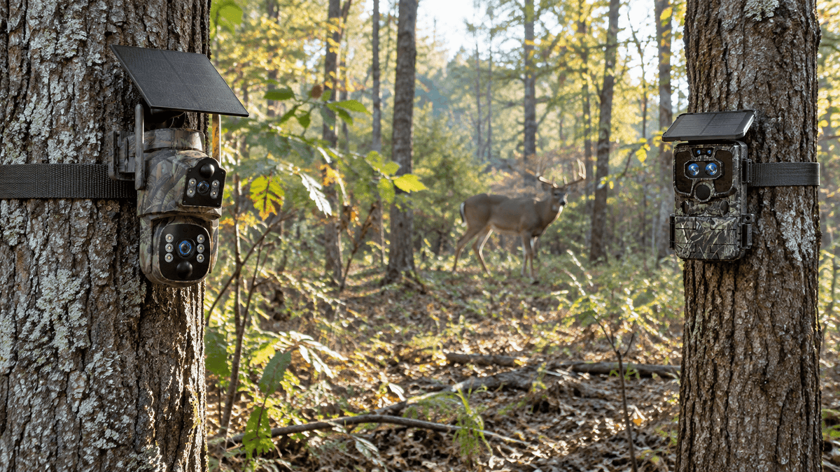 WiFi and cellular trail cameras used for outdoor wildlife monitoring