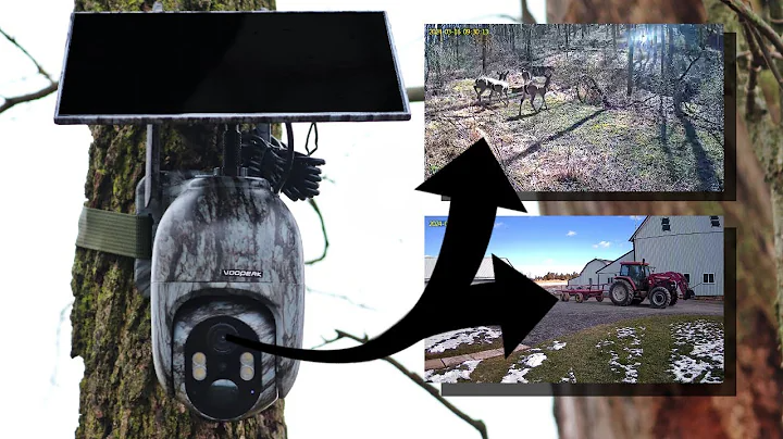 How much are trail cameras？