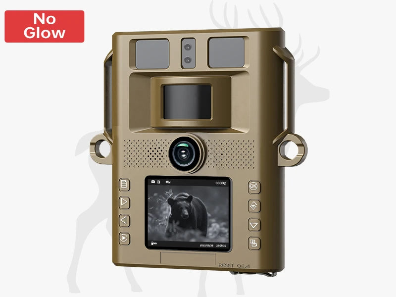 Standard Trail Camera Non Cellular No Wifi Standard trail camera non cellular no wifi
