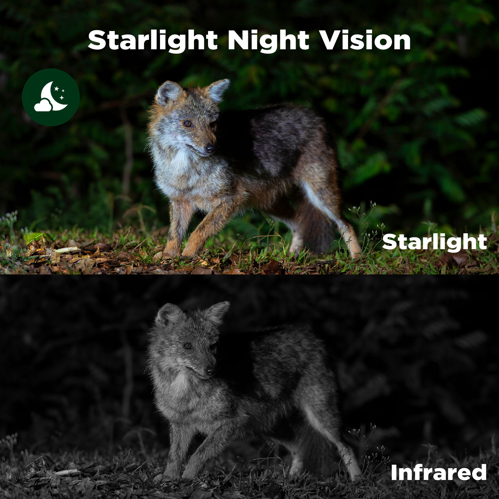 Starlight Color Camera 60MP Starlight Color Night Vision Solar Trail Camera | Voopeak