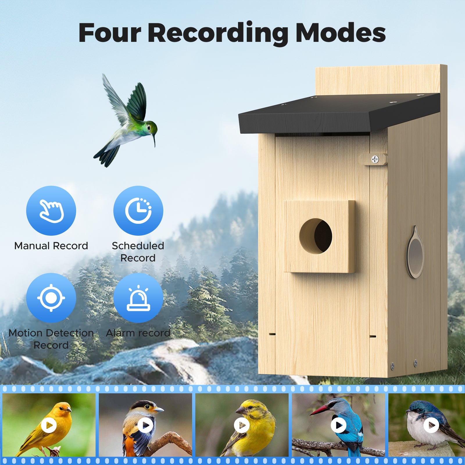Dual Camera Smart Bird House