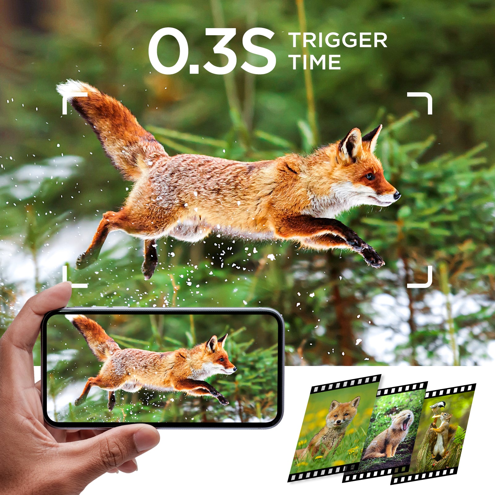 Trail Camera with 2.0''LCD Screen, Night Vision and 120° Wide Detect for Wildlife Monitor