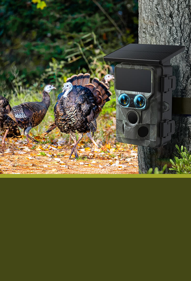 Voopeak Trail camera Official