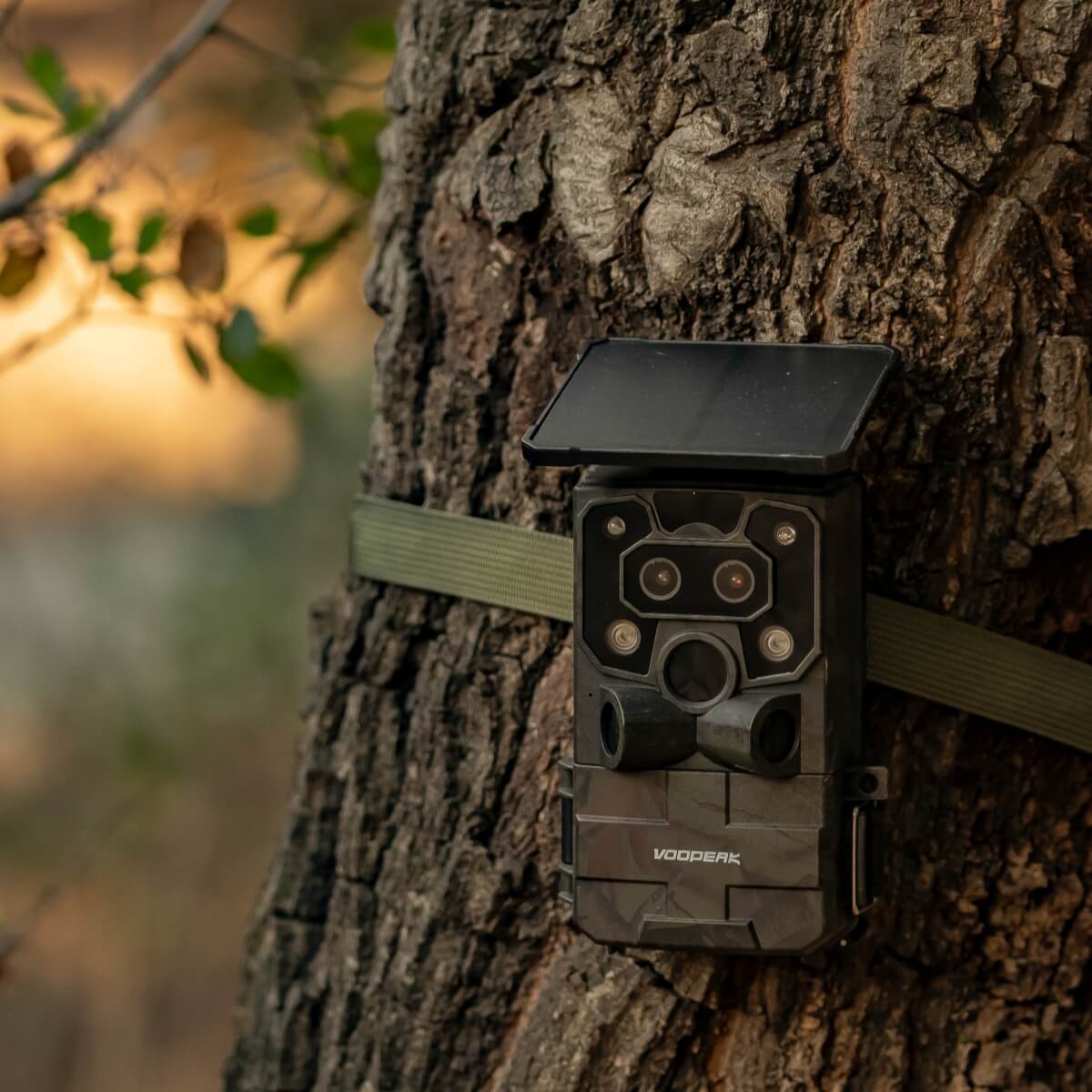VOOPEAK TC37 4K 60MP High-Resolution Solarbetriebene WLAN-Wildkamera für Jagd und Wildtierbeobachtung